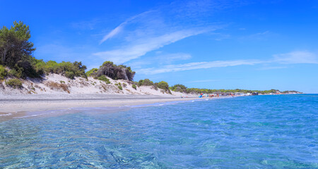 Wall Mural - The most beautiful sandy beaches of Apulia in Italy: Alimini Beach in Salento coast.