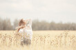 young adult sexy girl in the field / summer happiness concept, beautiful woman