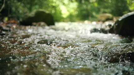 wild mountain river flowing through stone boulders, water clear stream river flowing in the deep for