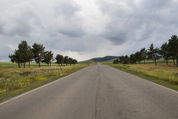 Poster - Landscape of highway along trees in Georgia under a cloudy sky