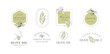 Set of labels, stamps, tags for olive oil, soap, cosmetics, spa salon. Minimal linear style. Vector illustration