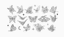 Hand Drawn Vector Abstract Stock Flat Graphic Illustrations Collection Set Bundle With Logo Elements,bohemian Magic Line Art Of Mystic Flying Butterfly And Moth,feminine Simple Style For Branding