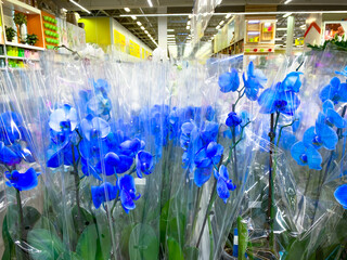 Blue orchid. A lot of flowers in the store, in the supermarket. Ready for sale. Wrapped in a polyethylene package