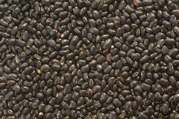 Wall Mural - Black bean with close up shot,top view.