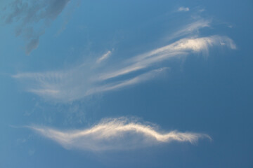 Wall Mural - blue sky with clouds