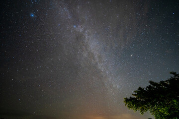 Wall Mural - starry night sky