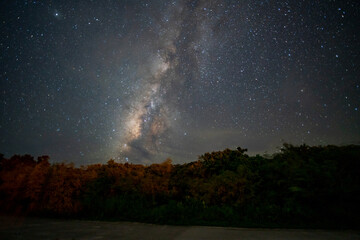 Wall Mural - starry night sky