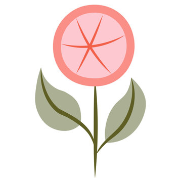 Flower on white background. Isolated design element, floral image old fashion style