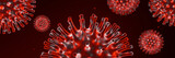 Fototapeta Mapy - 3D Microscopic Covid-19. Virus mutation.