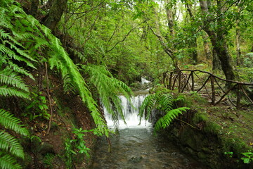 waterfall madeira