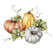 Watercolor Autumn Composition Of Pumpkins And Leaves. Hand Painted Blue, Red And Orange Gourds Isolated On White Background. Botanical Illustration For Design, Print, Background.