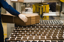 Factory For The Production Of Corrugated Cardboard