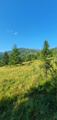 Wall Mural - beautiful mountain landscapes. walk