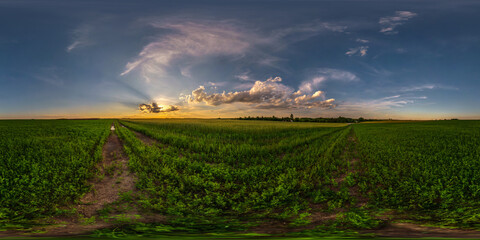 Wall Mural - spherical evening hdri panorama 360 view among farming fields with awesome sunset clouds in equirectangular projection, ready for VR AR virtual reality content