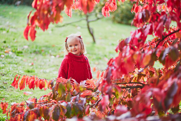 Wall Mural - Adorable toddler girl playing in autumn park