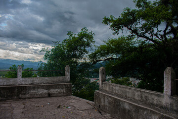 Poster - paisaje e arboles con cielo nublado de color gris 