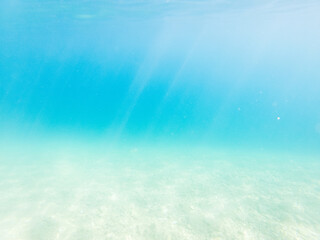 nice underwater shots in the sea