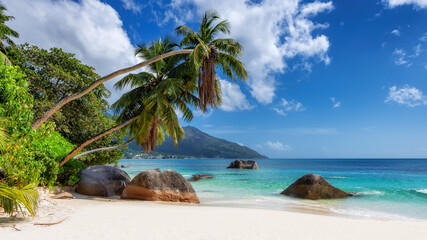 Wall Mural - Tropical beach with palms and turquoise sea in Beau Vallon Beach, Mahe, Seychelles. Summer vacation and tropical beach concept.  