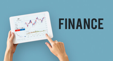 Wall Mural - Financial forex business chart report