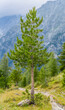 Gebirge / Alpenlandschaft im Defereggental bei Sankt Jakob, Nationalpark Hohe Tauern, Osttirol, Tirol, Österreich