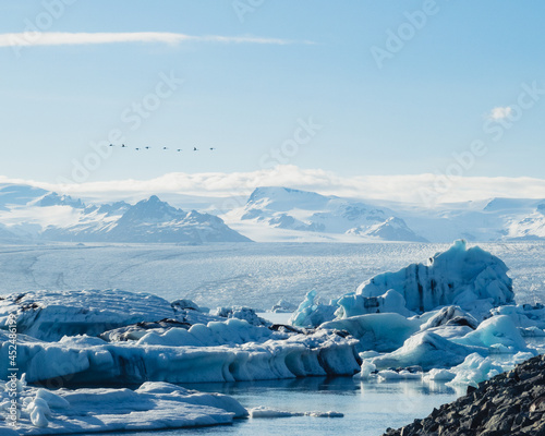 A glacier with icebergs and mountain landscape with birds flying.