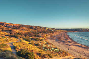 Wall Mural - Coastal view of Hallett Cove with the beach and houses at sunset. Sugarloaf is visible on the left