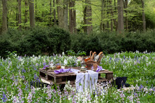 Rustic Picnic Table With Food In A Spring Meadow For A Woodland Naming Ceremony.