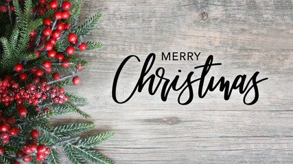 Wall Mural - merry christmas holiday calligraphy text with christmas evergreen branches and berries in corner ove