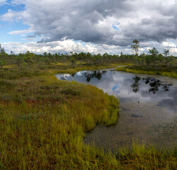 Sticker - raised bog and marsh landscape under an expressive sky