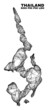 © Evgeny - Net irregular mesh Koh Phi Leh map. Abstract lines form Koh Phi Leh map. Wire carcass 2D net in vector format. Vector carcass is created for Koh Phi Leh map using crossing random lines.