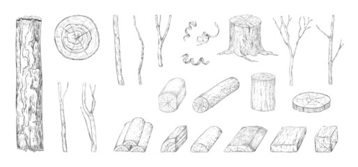 Hand drawn wood log. Sketch of tree trunk and plank. Wooden branch and lumber. Natural timber construction materials. Monochrome stump. Sawmill elements. Vector engraving plants set