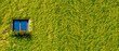 © neurobite - Banner with ecofriendly house with a lonely window in green ivy plants and red flowers at sunny day with copy space for text. Concept ecological sustainable living.