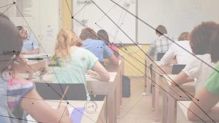 Poster - Animation of network of connections over students learning
