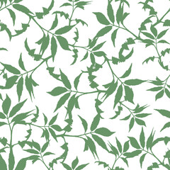 Wall Mural - Vector cute seamless pattern with leaves isolated on white background.