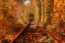 Love Tunnel In Autumn. A Railway In The Spring Forest