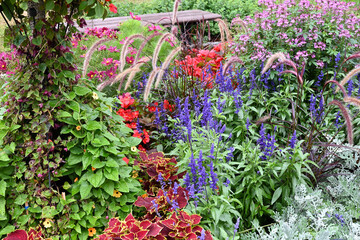 flowers in the garden