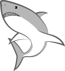 Wall Mural - isolated shark