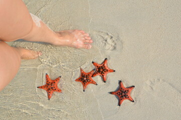 Photo of foot on shore of starfish beach with real orange starfishes in Rach Vem beach, Phu Quoc, Vietnam