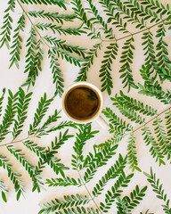 Wall Mural - creative arrangement with small green leaves around a cup of coffee.nature flat lay idea