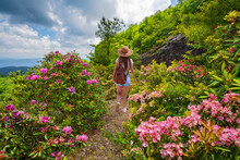 Girl Hiking Alone In The Mountains. Hiker Walking On The Path Among Blooming Flowers. Near Asheville, Blue Ridge Mountains, North Carolina, USA.