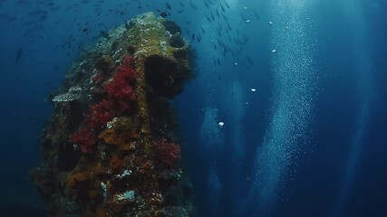 Wall Mural - USAT Liberty wreck in Bali. Underwater view of the shipwreck USAT Liberty surrounded by fishes and bubbles