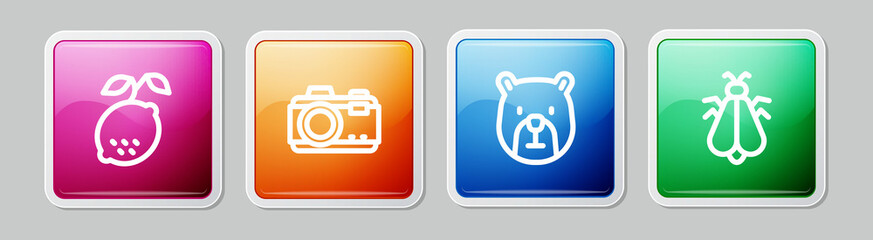 Sticker - Set line Lemon, Photo camera, Bear head and Mosquito. Colorful square button. Vector