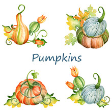 Watercolor Pumpkins. Hand-drawn 4 Compositions Of Orange And Blue Autumn Pumpkins With Pumpkin Flowers And Leaves. Harvest Thanksgiving, Fall