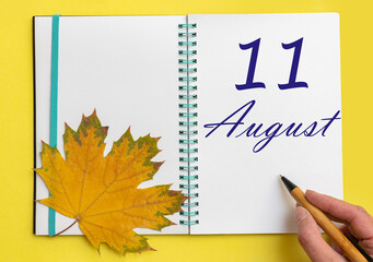 Hand writing the date 11 august in an open notebook with a beautiful natural maple leaf on a yellow background.