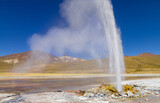 the continuous spouting cold water geyser Puchuldiza on the high altitude plateau of the altiplano in Isluga National Park in northern Chile