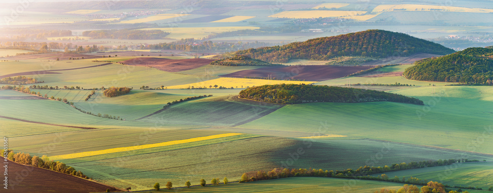 Spring hilly landscape of fields Czech republic - obrazy, fototapety, plakaty 