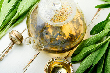 Wall Mural - Sage in herbal medicine,herbalism