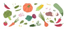Set Of Fresh Organic Farm Vegetables In Doodle Style. Healthy Veggies Collection. Autumn Harvest And Crops. Colored Flat Vector Illustration Of Vegan Raw Ripe Food Isolated On White Background