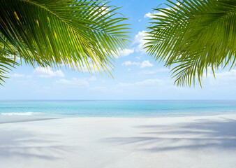 Wall Mural - View of nice tropical beach with some palms