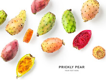 Prickly Pear Cactus Fruits Creative Layout.